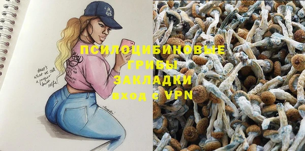 не бодяженный Алексин